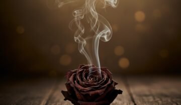 Top notes by nuage prive you must try in 2026